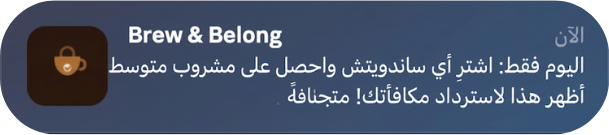 رسائل الدفع